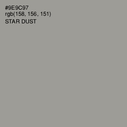 #9E9C97 - Star Dust Color Image